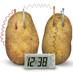 Набор для опытов Картофельные часы от 4M