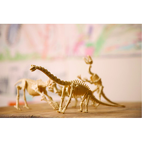 Научный STEM набор Скелет брахиозавра от 4M