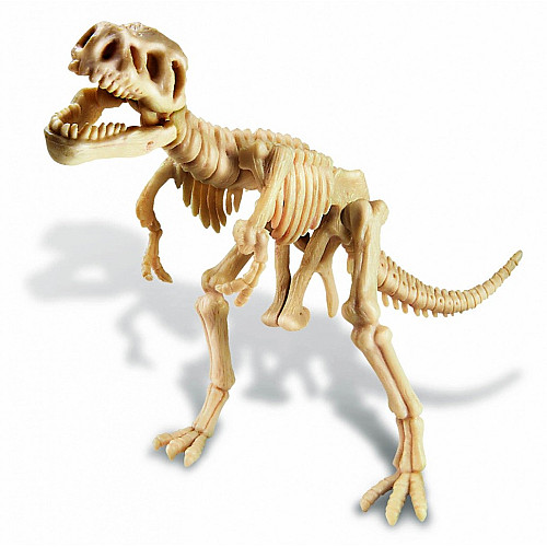 Науковий STEM набір Скелет тиранозавра від 4M