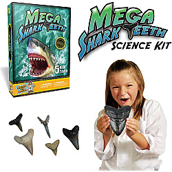 Науковий STEM набір Зуби акули (5 шт) від Discover with Dr. Cool