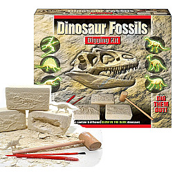 Науковий STEM набір Сяючі останки динозаврів (6 шт)