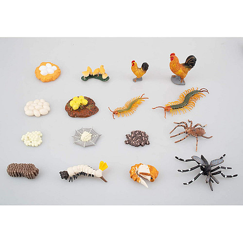Развивающий набор Циклы жизни Петух, сороконожка, паук и комар от Toymany