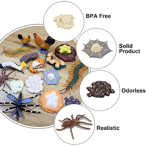 Развивающий набор Циклы жизни Петух, сороконожка, паук и комар от Toymany