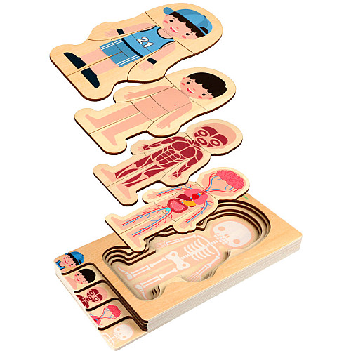 Развивающий деревянный набор Строение тела (1 шт) от Obetty