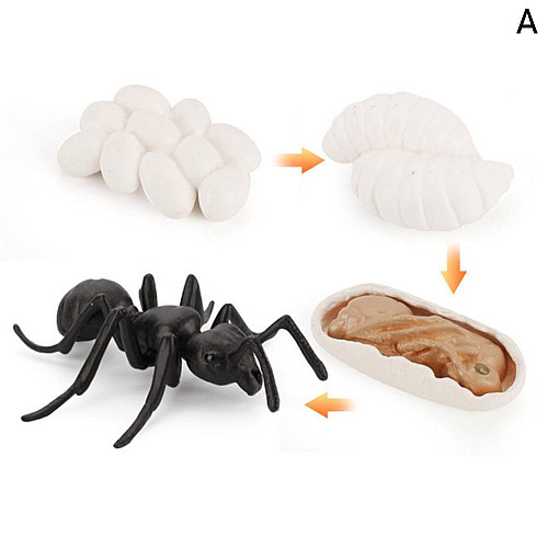 Розвиваючий набір фігурки Життєвий цикл мурашки (4 шт)