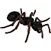 Розвиваючий набір фігурки Життєвий цикл мурашки (4 шт)