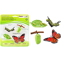 Развивающий набор Цикл жизни бабочка Монарх