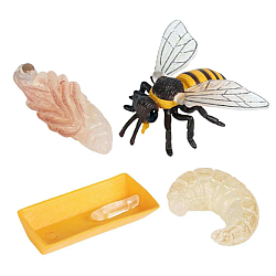 Розвиваючий набір фігурки Життєвий цикл медоносної бджоли (4 шт)
