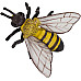 Развивающий набор фигурки Жизненный цикл медоносной пчелы (4 шт)