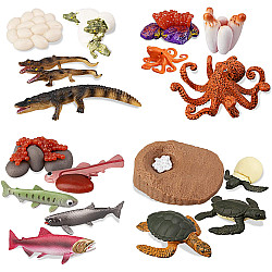 Развивающий набор фигурки Жизненный цикл морских животных (17 шт) от Toymany