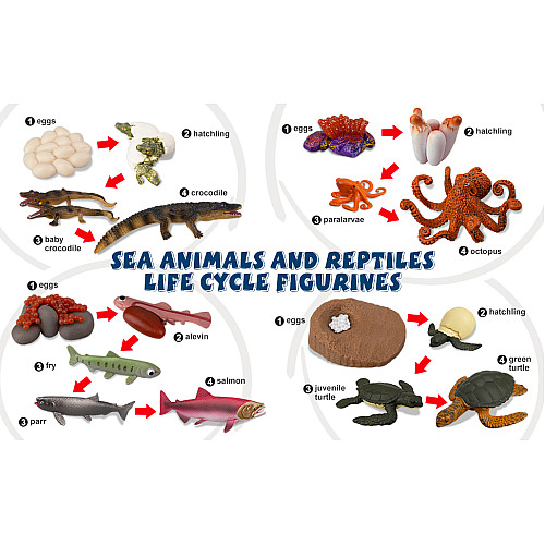 Розвиваючий набір фігурки Життєвий цикл морських тварин (17 шт) від Toymany