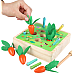 Развивающая магнитная игра сортер Морковки и червячки от Obetty