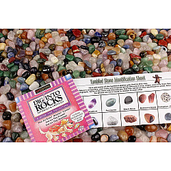 Научный STEM набор Полированные камни (454 грамма) от Dancing Bear