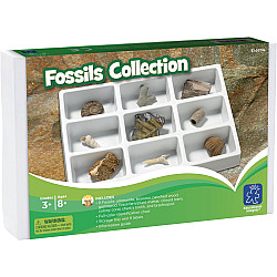 Науковий набір Колекція скам'янілостей (9 предметів) від Educational Insights