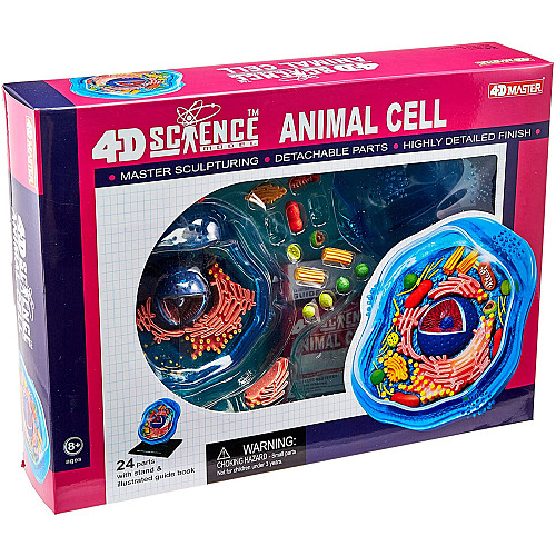 Анатомическая модель Животная клетка от 4D Master