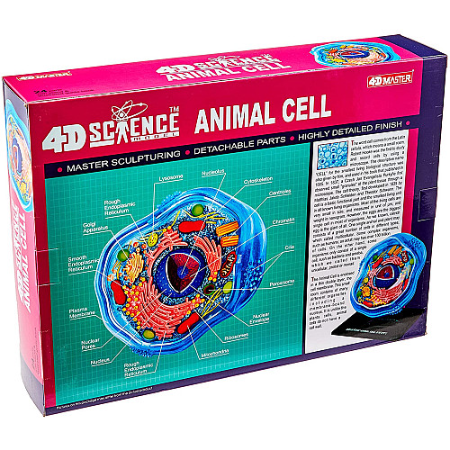 Анатомічна модель Тваринна клітина від 4D Master