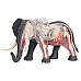 Анатомическая модель Слон от 4D Master