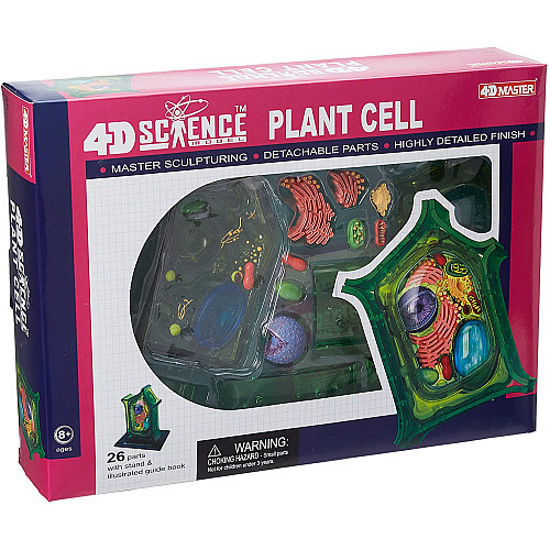 Анатомическая модель Растительная клетка от 4D Master