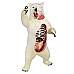 Анатомічна модель Білий ведмідь від 4D Master