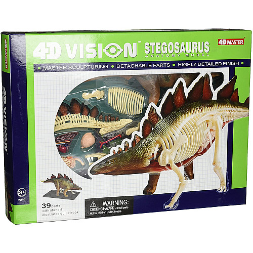 Анатомическая модель динозавр Стегозавр от 4D Master