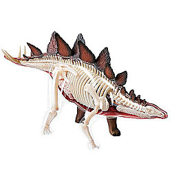 Анатомічна модель динозавр Стегозавр від  4D Master