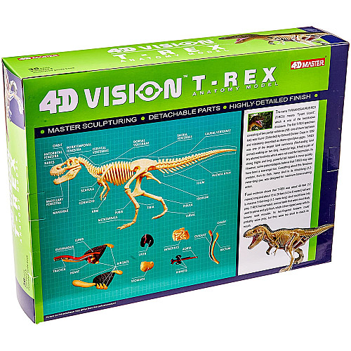 Анатомічна модель динозавр Ті Рекс від 4D Master