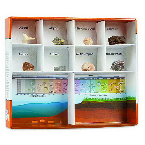 Научный набор для раскопок Геология (8 окаменелостей) от hand2mind