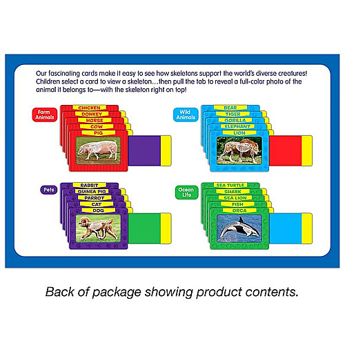 Розвиваючий набір Картки зі скелетами тварин (20 шт) від Lakeshore