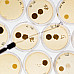 Научный набор Выращивание бактерий от Lakeshore
