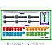 Развивающий набор для сортировки Разноцветные гайки (66 шт) от Lakeshore