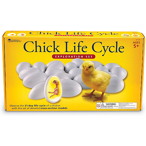 Развивающий набор Жизненный цикл цыплят (21 яйцо) от Learning Resources