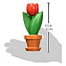 Обучающий набор модель Тюльпана в разрезе от Learning Resources