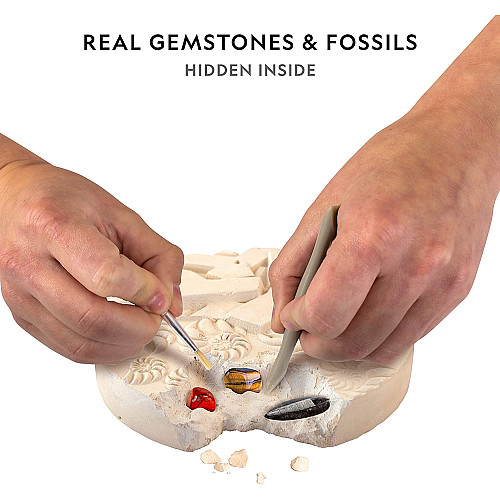Науковий STEM набір Розкопки камені і скам'янілості (20 шт) від NATIONAL GEOGRAPHIC