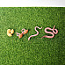 Развивающий набор фигурки Жизненный цикл червя (4 шт) от Obetty