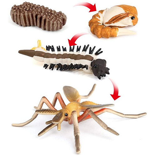 Розвиваючий набір фігурки Життєвий цикл комаря (4 шт) від Obetty