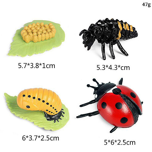 Развивающий набор фигурки Жизненный цикл насекомых (24 шт) от Obetty