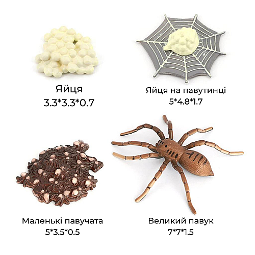 Развивающий набор фигурки Жизненный цикл паука (4 шт) от Obetty