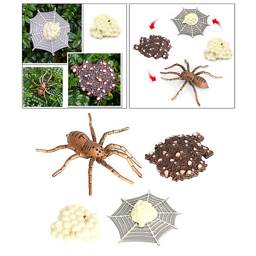 Розвиваючий набір фігурки Життєвий цикл павука (4 шт) від Obetty