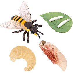 Розвиваючий набір фігурки Життєвий цикл бджоли (4 шт) від Obetty