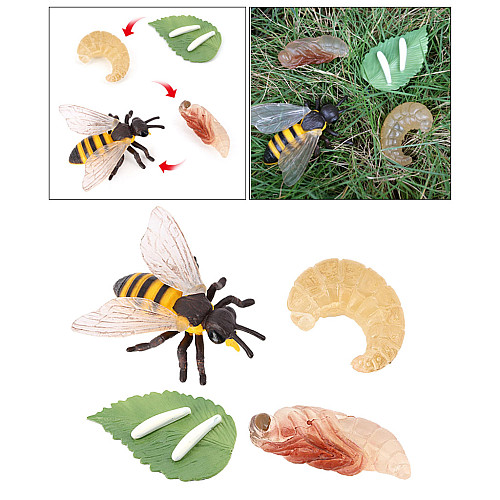 Развивающий набор фигурки Жизненный цикл пчелы (4 шт) от Obetty