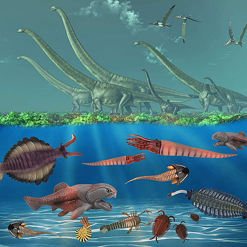 Развивающий набор фигурки Доисторические морские обитатели (10 шт) от Obetty