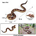 Игровой набор фигурок Змеи (6 шт) от Obetty