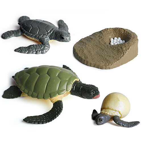 Развивающий набор фигурки Жизненный цикл черепахи (4 шт) от Obetty
