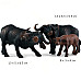 Развивающий набор фигурок Семья буйволов (3 шт) от Obetty