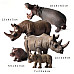 Розвиваючий набір фігурок Сім'я носорогів та бегемотів (5 шт) від Obetty