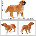 Развивающий набор фигурок Семья собак (4 шт) от Obetty