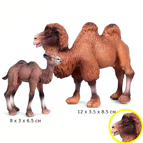Развивающий набор фигурок Семья верблюдов (2 шт) от Obetty
