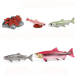 Развивающий набор фигурки Жизненный цикл лосося (5 шт) от Obetty