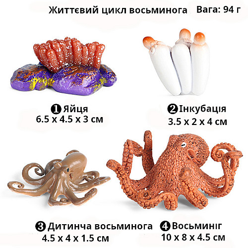 Развивающий набор фигурки Жизненный цикл осьминога (4 шт) от Obetty