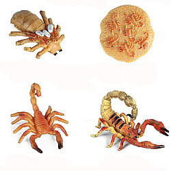 Развивающий набор фигурки Жизненный цикл скорпиона (4 шт) от Obetty